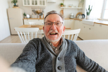 Happy middle aged senior man talk on video call with friends family. Laughing mature old senior grandfather having fun speaking with grown up children online. Headshot portrait selfie webcamera view