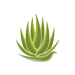 Aloe Vera logo icon design symbol beauty