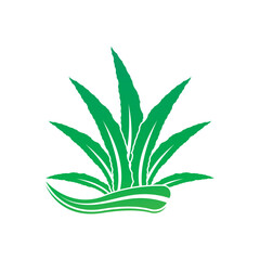 Aloe Vera logo icon design symbol beauty