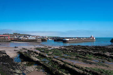 Arbroath Harbour