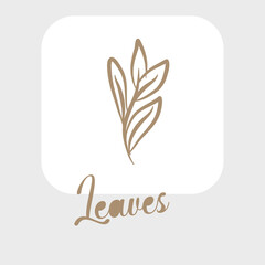 outline leaves, line leaf and line art leaf for wedding invitation, line leaf, line leaves icon