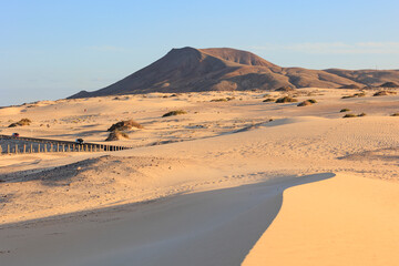 Fototapeta na wymiar The sand dunes of Parque Natural de Corralejo Corralejo Fuerteventura Canary Islands Spain