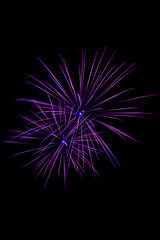 violet and red firework display set for celebration happy new year and merry christmas and fireworks on black background