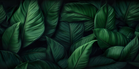 abstract green leaf texture, nature background, tropical leaf