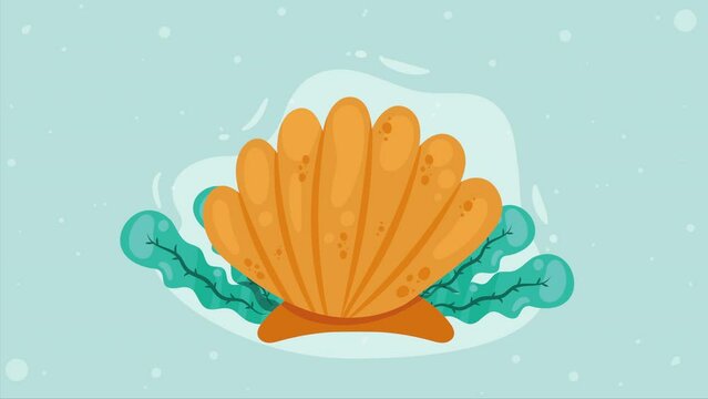 orange seashell and algaes animation