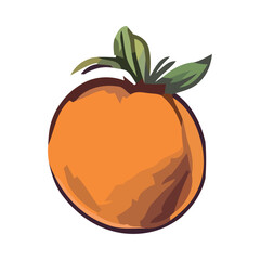 Fresh organic tomato, ripe and juicy