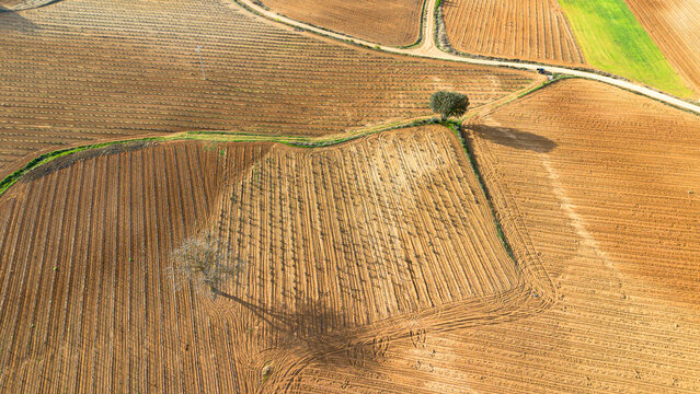 Aerial view vineyards in late spring in the Ribera del Duero denomination of origin area in Castilla y L&eacute;on in Spain
