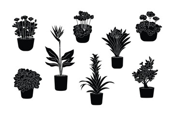 Blooming house plants, set of icons on white