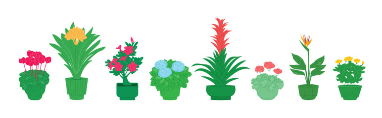 Blooming house plants, set of flat icons on white
