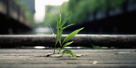 Obraz premium sustainability generative ai illustration showing Close-up Shots of Plant Leaves