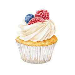 Cupcake with blueberry and raspberry food illustration.