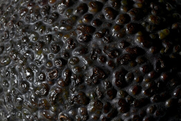 avocado skin texture close up