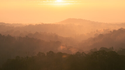 Morning scene of sunrise with tropical rainforest covered with fog and mist at sunrise.