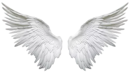 Fotobehang Angel wings isolated on white background , transparent png by ai generative © YuDwi Studio