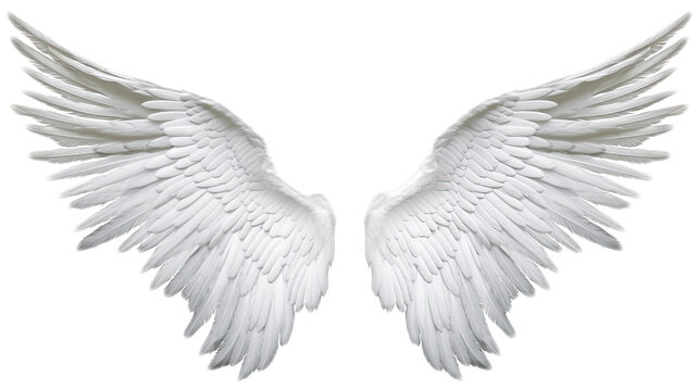 Angel Wings Transparent Images – Browse 9,723 Stock Photos, Vectors, and  Video