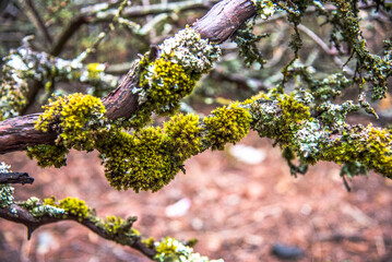 Halloween Activities and More