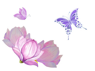 Watercolor composition of butterflies and flower. Hand-drawn illustration, isolated background. Suitable for wedding invitations, packaging, postcards and printed products.