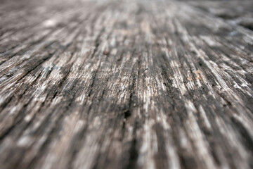 spot focus of wood plate with blur background