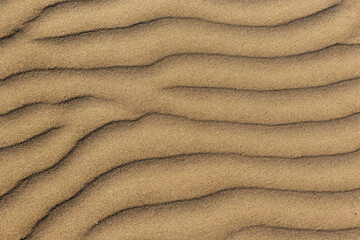 Fototapeta na wymiar Dune waves and sand pattern. Wave, sand dunes. The sand changes shape due to the wind to form sand ripples and jagged lines. Selective focus. Copy space.