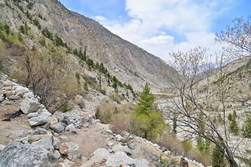 Fototapeta na wymiar Mountain Scenery from Hiking Trails to Fairy Meadows and Nanga Parbat Base Camp in Pakistan