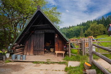Bacówka w Lipnicy Wielkiej i okolice. Drewniana ogrodzona chata pośród drzew.