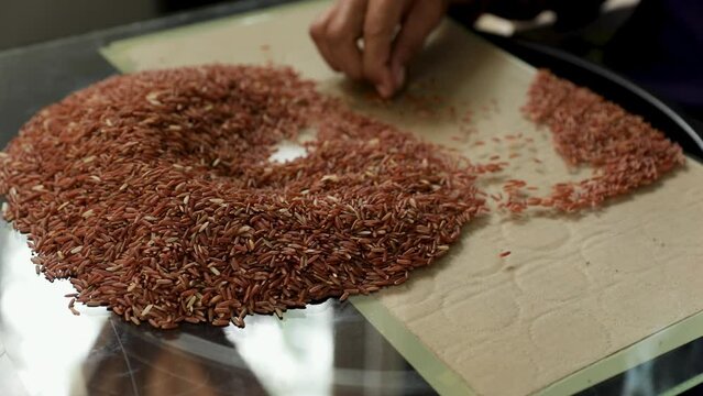 handpicking and separate unwanted components from the rice grains