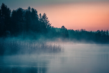 Fototapeta premium The fairy-tale mystery of the blue hour. Lake Gowidlińskie, Kaszuby, Poland
