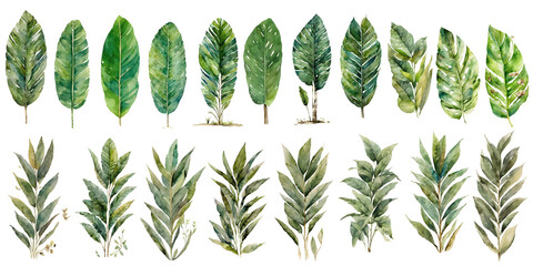 hand drawn watercolor leaf illustration asset painting set. Isolated on a white background. High resolution transparent PNG. generative AI.