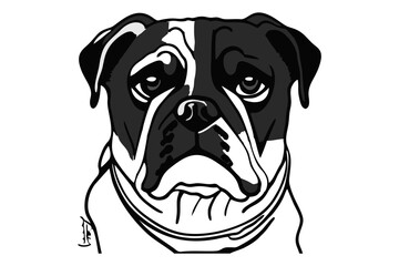 portrait of a bulldog