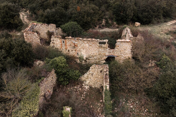 Forest Aerial View of Romanesque Ruins
