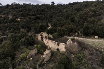 Aerial View of Romanesque Ruins in Forest with Overcast Sky