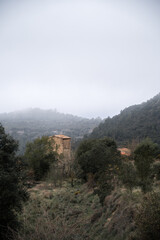 Fototapeta na wymiar Rustic Houses Hidden in a Forest with Misty Mountain Backdrop