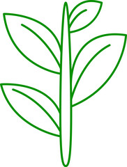 tropical leaf illustration
