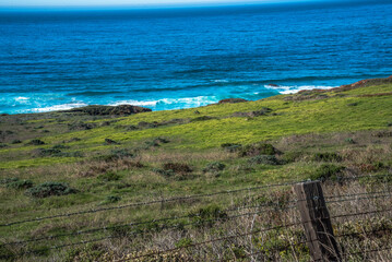 The Drive Down Highway One