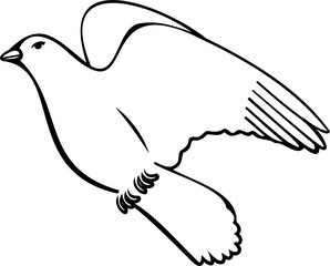 Bird line art illustration with black thin line. PNG with transparent background.