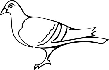Bird line art illustration with black thin line. PNG with transparent background.