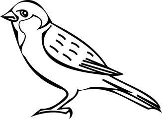 Fototapeta premium Bird line art illustration with black thin line. PNG with transparent background.