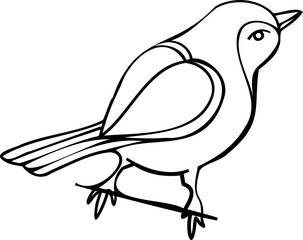 Bird line art illustration with black thin line. PNG with transparent background.