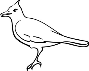 Bird line art illustration with black thin line. PNG with transparent background.