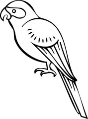 Obraz premium Bird line art illustration with black thin line. PNG with transparent background.
