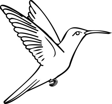 recommend clip art: Bird line art illustration with black thin line. PNG with transparent background.