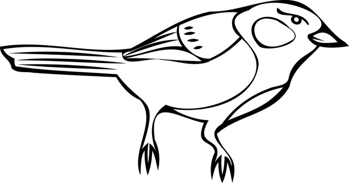 Bird line art illustration with black thin line. PNG with transparent background.