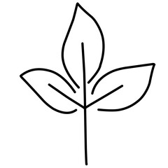 Fototapeta premium Black Line Leaf Icons