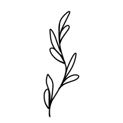 Handrawn leaf line art.simple leaves illustration.decorative plant