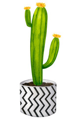 Cactus in a ceramic pot. Boho, scandinavian style. Watercolor clipart for design of cards, logos, stationery, print, fabric, home textile.
