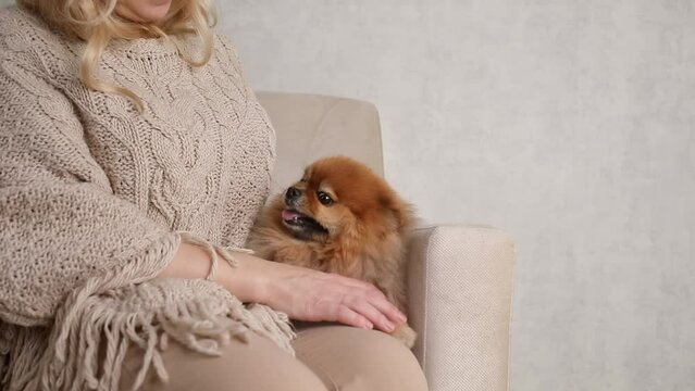 woman stroking a Pomeranian spitz