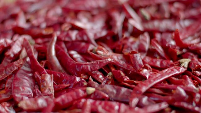 Dried chili.Red hot chilli peppers texture background.(Camera dolly out)