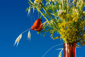Bouquet of bright colorful wildflowers in a glass red vase against a blue sky. Stylish still life with natural floral composition. Different herbs in a bunch. Rural plants and flowers outdoors.