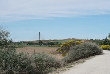 広大な景色が広がる散歩道