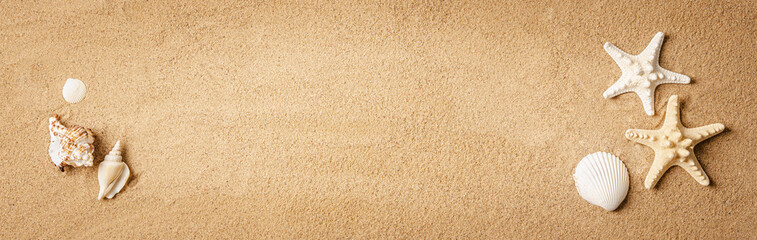 starfishes and sea shells on sand